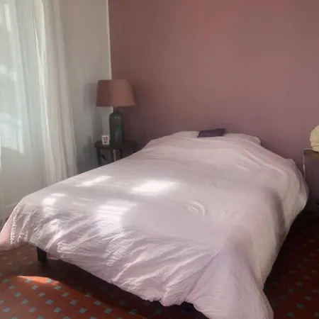 Appartement Bourgeois Au Calme Et A 2 Pas Du Centre Cannes